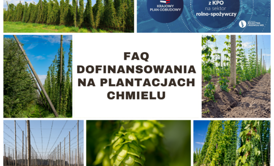 FAQ - plantacje chmielu