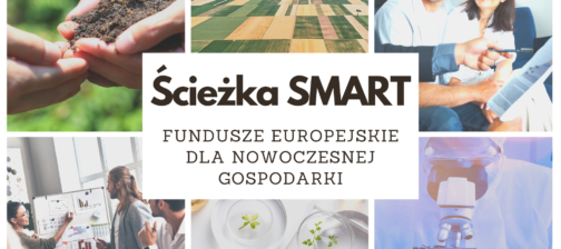 Ścieżka SMART